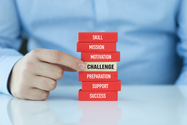 Human Resources Technology - Challenges in HR